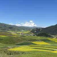 Qilian mountain 🇨🇳