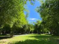 นอนรถบ้านริมน้ำ @ ละลานตา แคมป์ปิ้ง&คาเฟ่