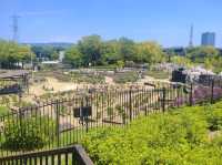 Kyuhoji Green Space