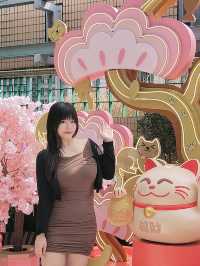 🐱喵の福財運🌟速速報到！！