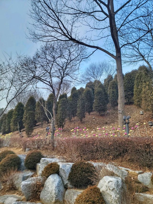 겨울엔 휴식을 봄엔 꽃나들이의 행복을 담는 곳✨️
