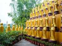 Journeying through Fo Guang Shan Buddha