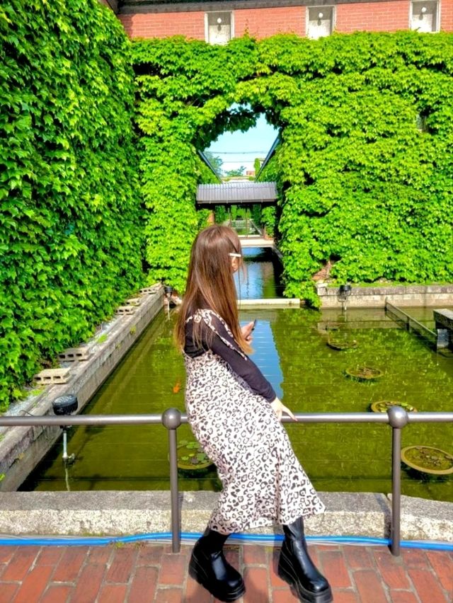 【岡山/秋のおすすめ】お洒落も食欲も満たせる！食べ歩きとフォト📸おすすめスポットご紹介💁‍♀️✨🍡🪔
