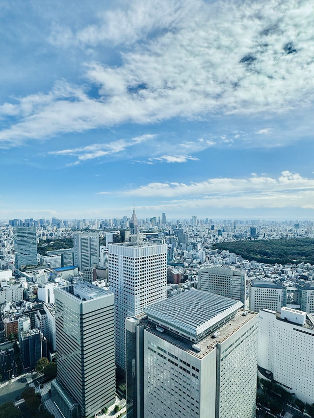 Tokyo Metropolitan Government Building 