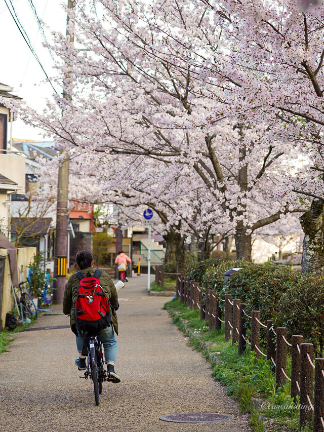 Is this the best spot in Kyoto?