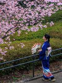 【空と海の青にピンクが映える西海橋の河津桜】