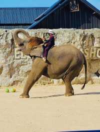 Hua Hin Safari & Adventure Park 