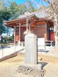 【仙波日枝神社/埼玉県】赤坂の日枝神社の本社