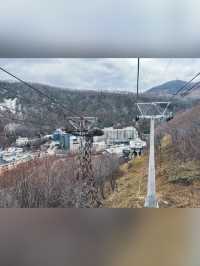 【北海道・登別】のぼりべつクマ牧場