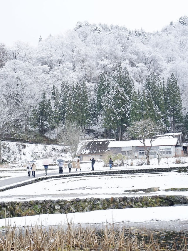 พาไปชมหมู่บ้านมรดกโลก Shirakawa-go❄️☃️