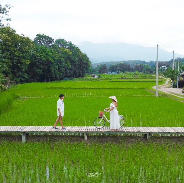 มาปัว ไม่มามานาปัว ถือว่ามาไม่ถึงนะคะ 🌱