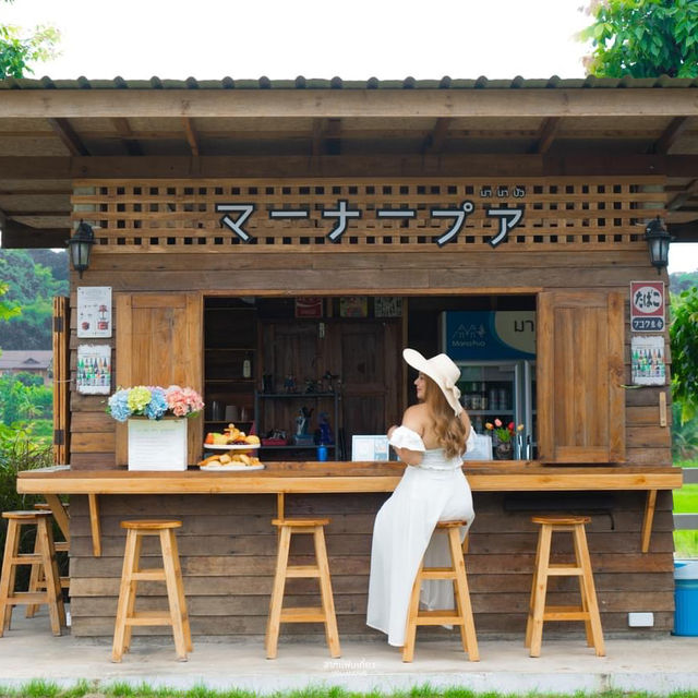 มาปัว ไม่มามานาปัว ถือว่ามาไม่ถึงนะคะ 🌱