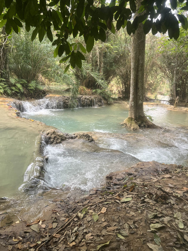 The bluest waterfall in Laos🩵