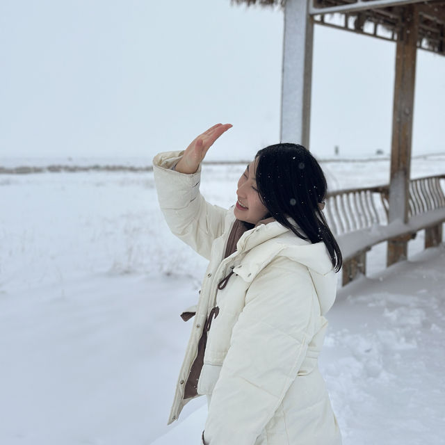 8天新疆之旅第3️⃣日: 精河-賽里木湖-福壽山杏花