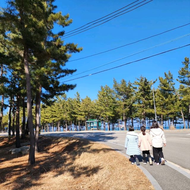 바다 풀빌라 파티풍선 독채펜션 모든게 다 갖춰진 강릉 풀빌라