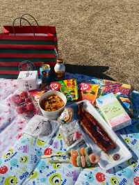 🌸 Let’s go picnic! 🧺🗼 