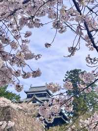 【島根　松江】お城まつり