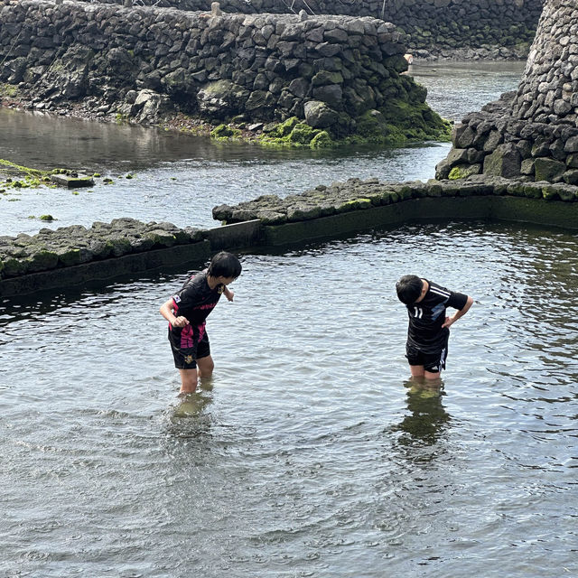 🌊 샛도리물, 제주 삼양의 신성한 용천수