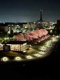 【富山】昼は立山連峰出来て、夜はライトアップが綺麗な橋