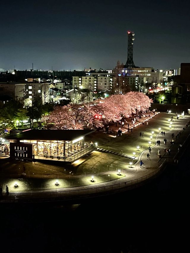 【富山】昼は立山連峰出来て、夜はライトアップが綺麗な橋