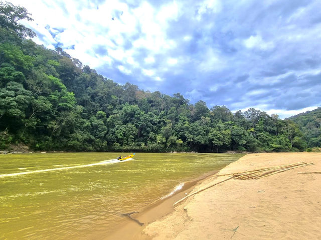 Taman Negara National Park