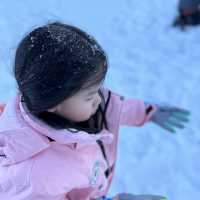 家庭式滑雪渡假首選