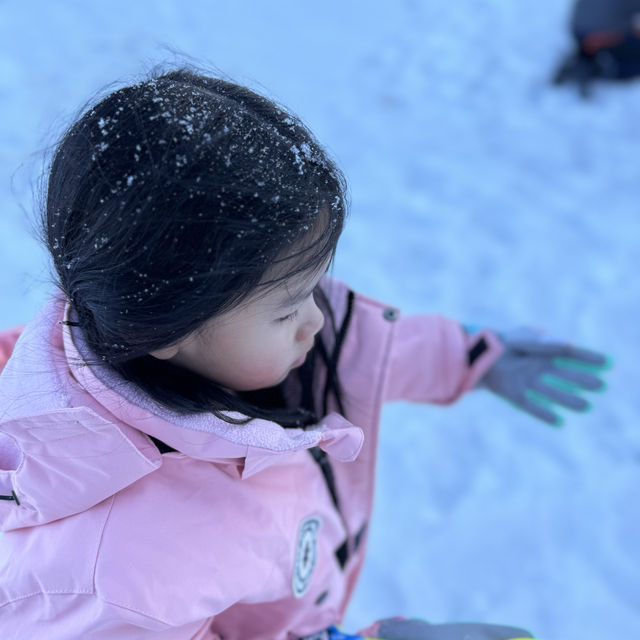 家庭式滑雪渡假首選