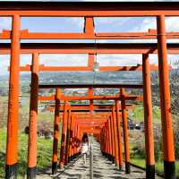 日本九州｜俯瞰浮羽景色的稻荷神社⛩️