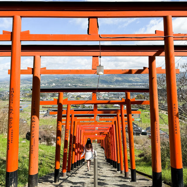 日本九州｜俯瞰浮羽景色的稻荷神社⛩️