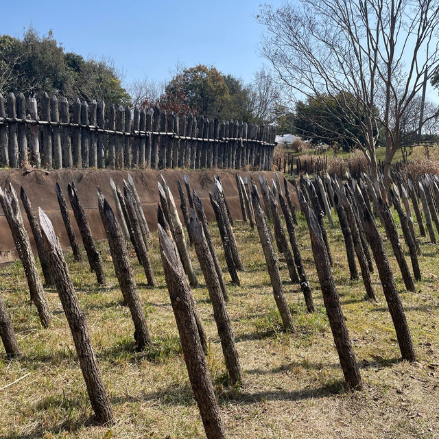 【佐賀県】弥生時代にタイムスリップ🕑