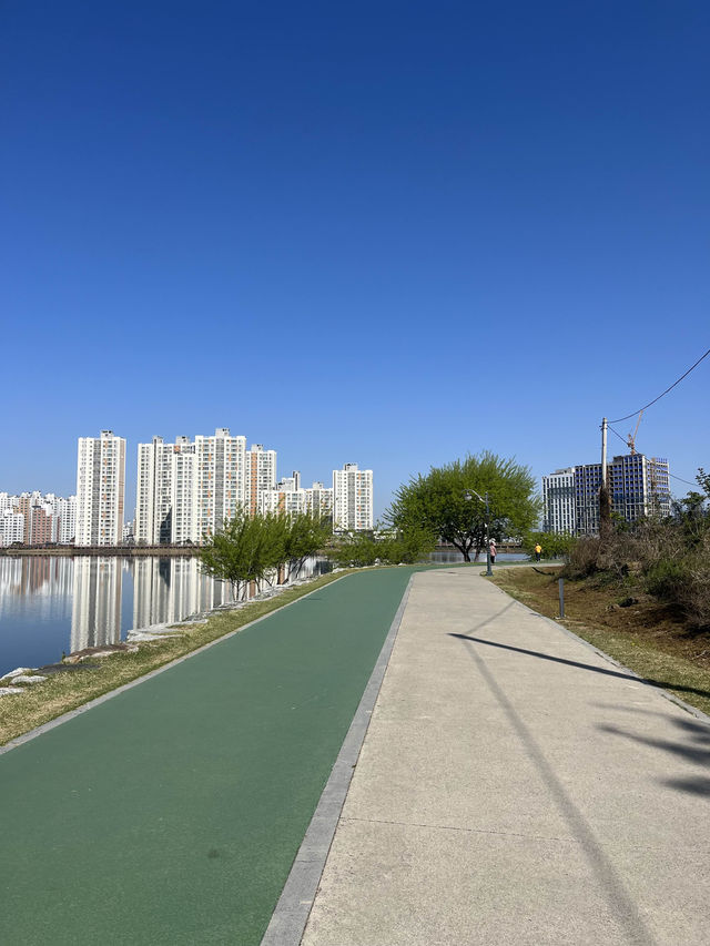 경산에서 가장 산책 하기 좋은 남매 저수지 | 트립닷컴 경산시