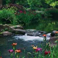 湊山公園：春天好去處，感受日式風韻