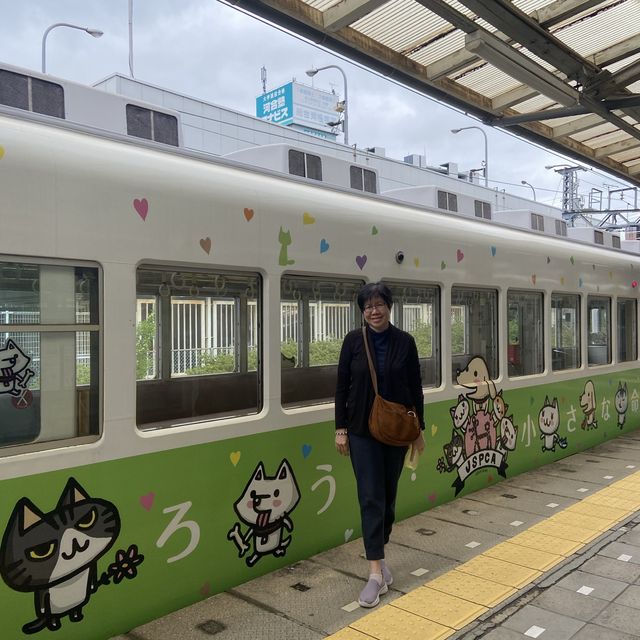 Cute cat train for cat lovers 