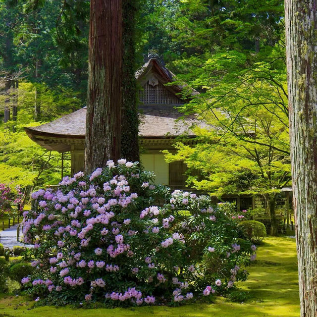 福岡大濠公園日式庭園：精緻造園、恬靜環境，感受日本風情