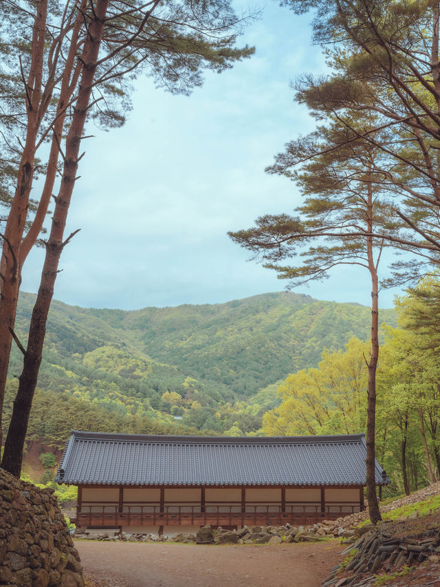 배달성전으로 불리며 자연의 좋은 기운이 느껴지는 ”하동 삼성궁”