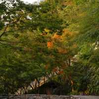 篠憟恩山寺:古色古香
