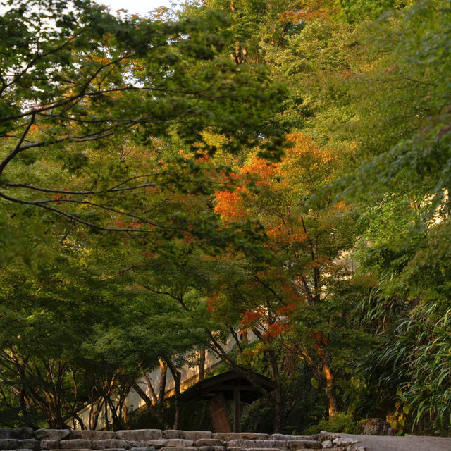 篠憟恩山寺:古色古香 篠憟恩山寺:古色古香