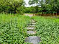 Hanbat Arboretum