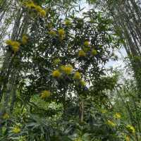 役政公園～綠洲中的湖光山色～寧靜放鬆