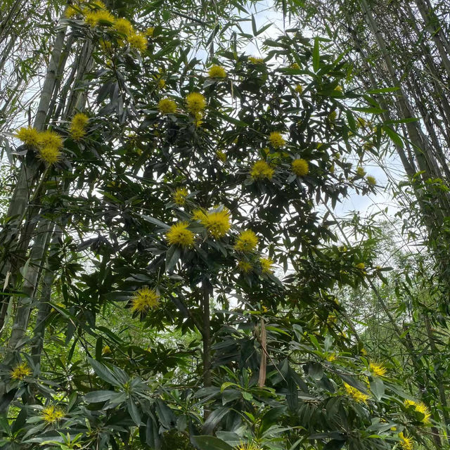 役政公園～綠洲中的湖光山色～寧靜放鬆