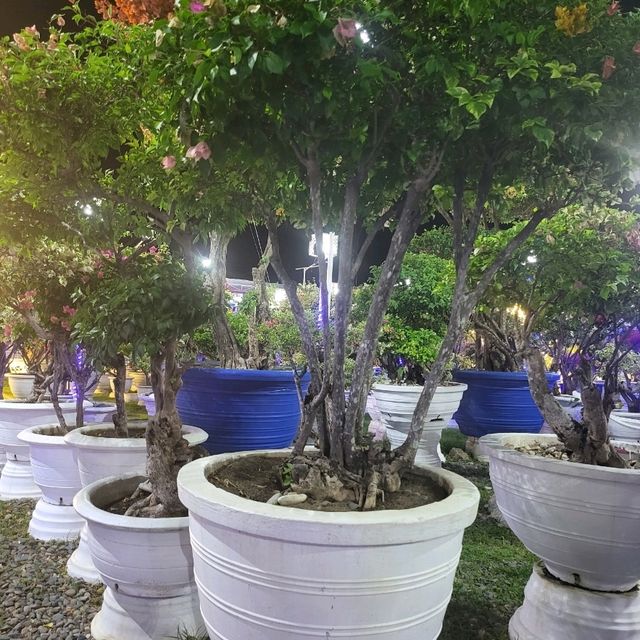 the Meraki Garden