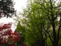 【首爾景點】「駱山公園」：韓劇拍攝熱點，欣賞花卉和首爾風景好去處‼️