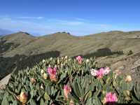 合歡山Hehuan Mountain