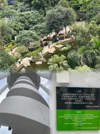 🌟 香港公園之美：太極園與360度鳥瞰角探秘 🏞