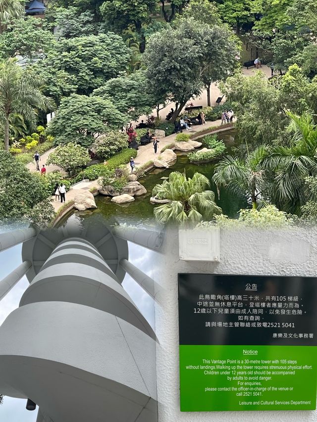 🌟 香港公園之美：太極園與360度鳥瞰角探秘 🏞