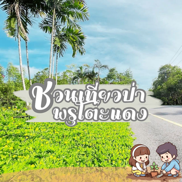 ♻️ป่าพรุโต๊ะแดง​