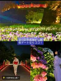 〜神奈川県〜穴場〜ライトアップまで！紫陽花スポット6選！
