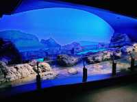Niigata City Aquarium Marinepia Nihonkai (Sea of Japan) 新潟市水族館 マリンピア日本海