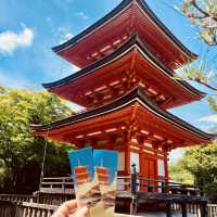Kyoto City 