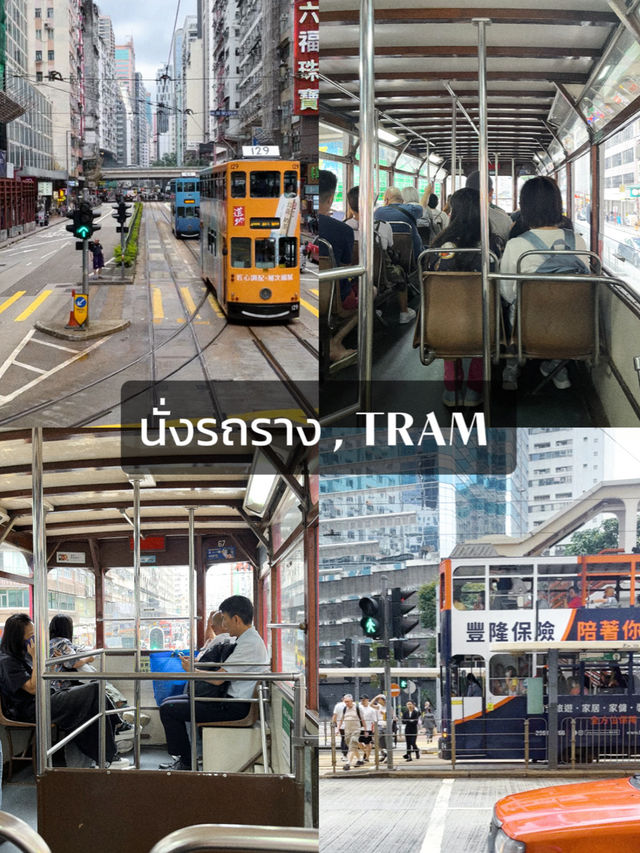 แพลนเที่ยว 4 วัน 3 คืน  รวม 19 พิกัดในฮ่องกง ⭐️